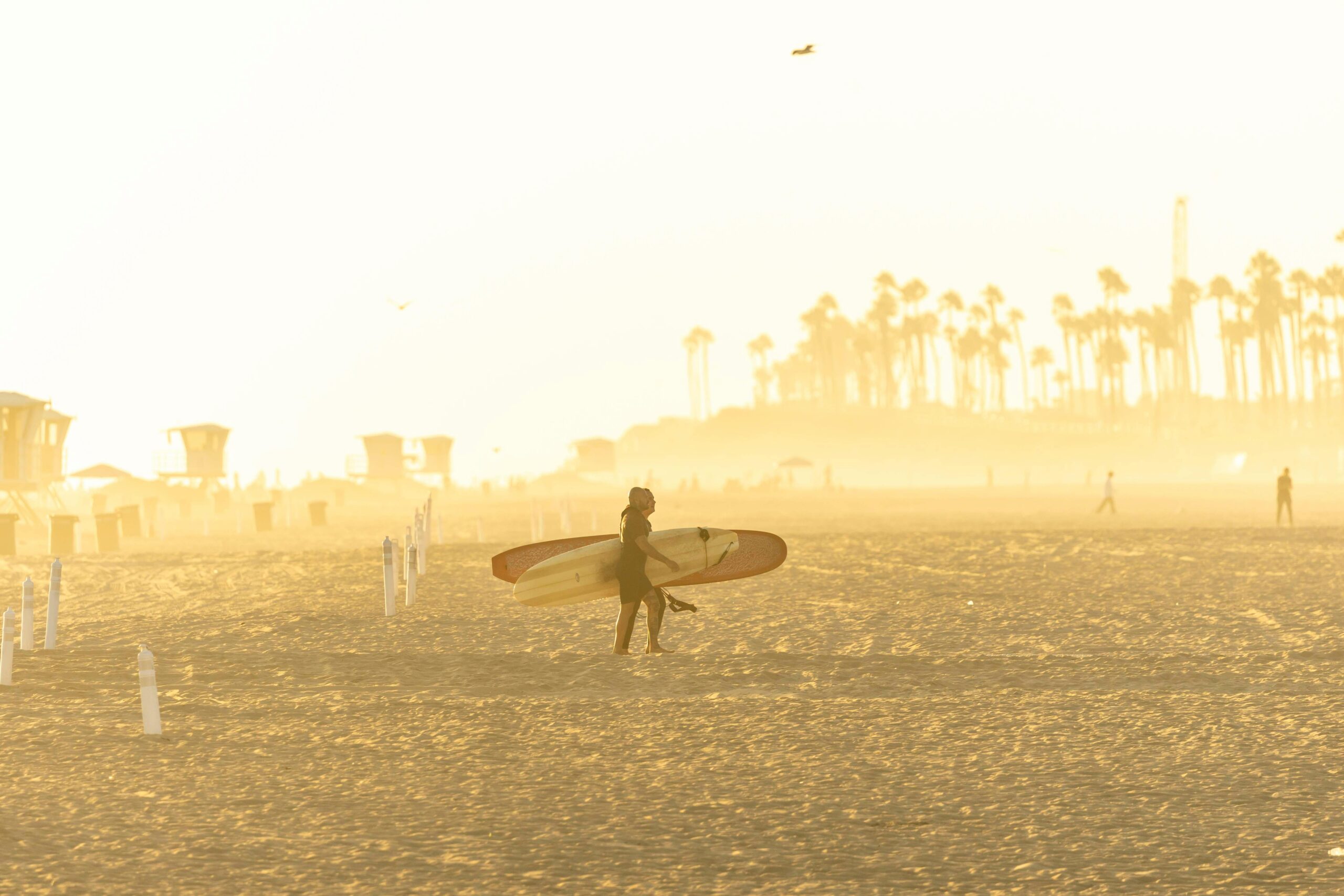 pexels-stephen-leonardi-587681991-33366298