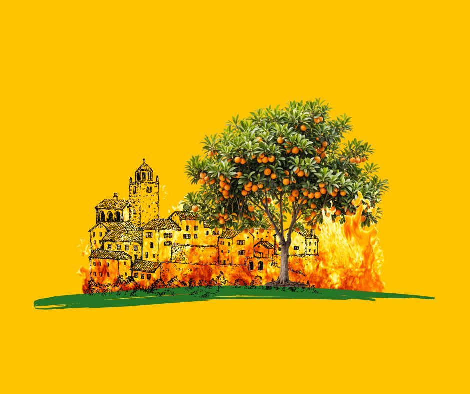 עיצוב: תמר בנין