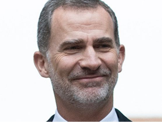 המלך פליפה ה-VI, של ספרד (צילום: Borja Puig de la Bellacasa / Pool Moncloa, 2019, via Wikimedia Commons)