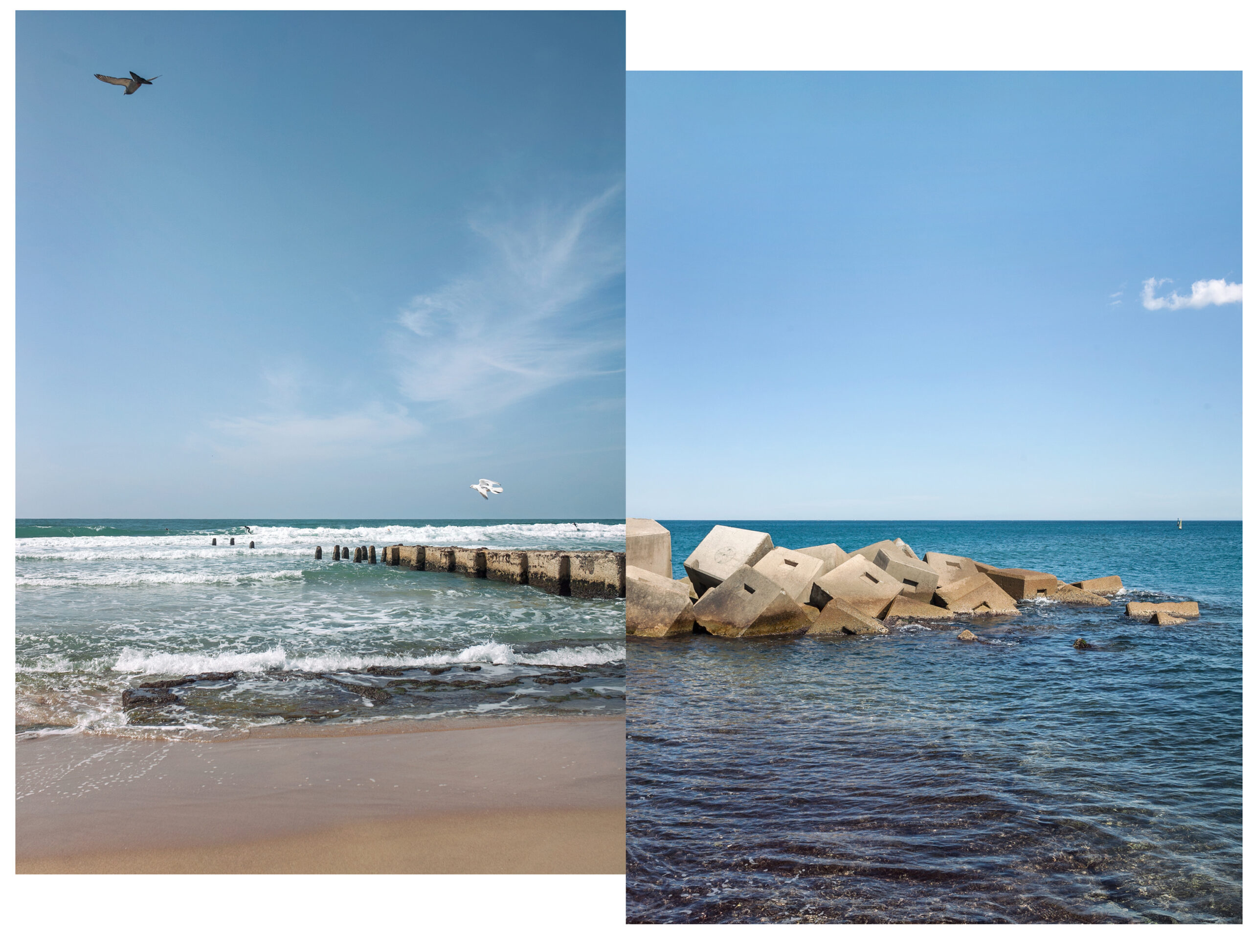 צילום: עדי אקשטיין