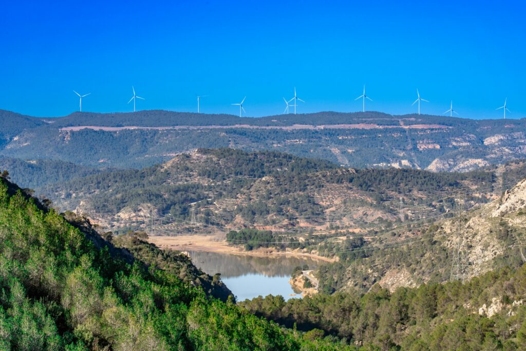 ולנסיה (צילום: Pexels)