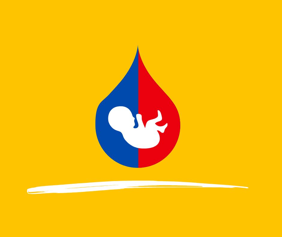 עיצוב: תמר בנין