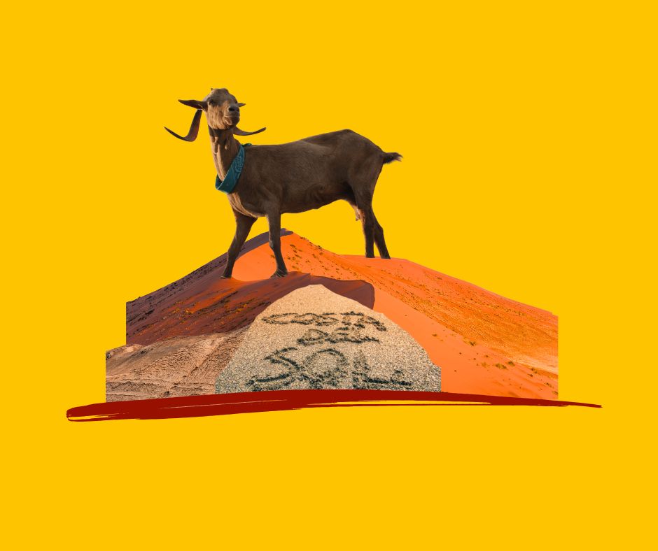 עיצוב: תמר בנין