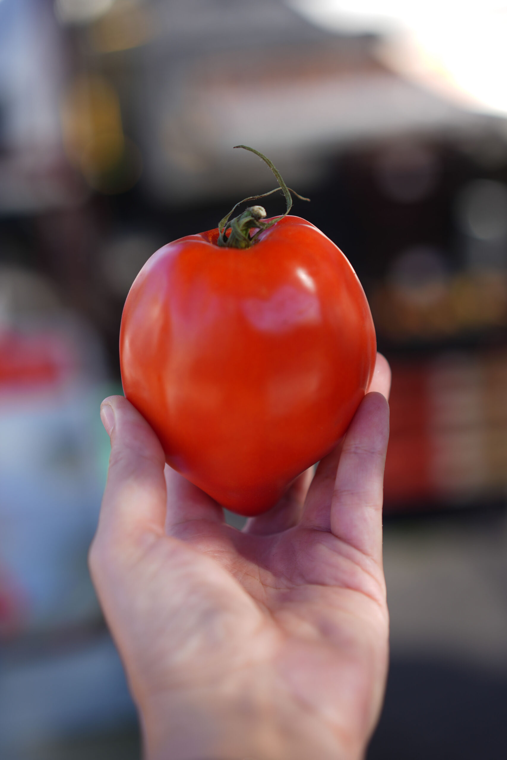 צילום: תמר בנין