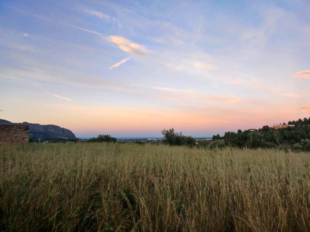 צילום: תמר בנין