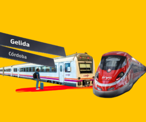 עיצוב: תמר בנין