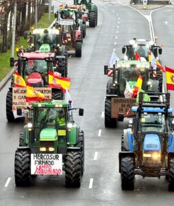 צילמה: ליזה פייטל