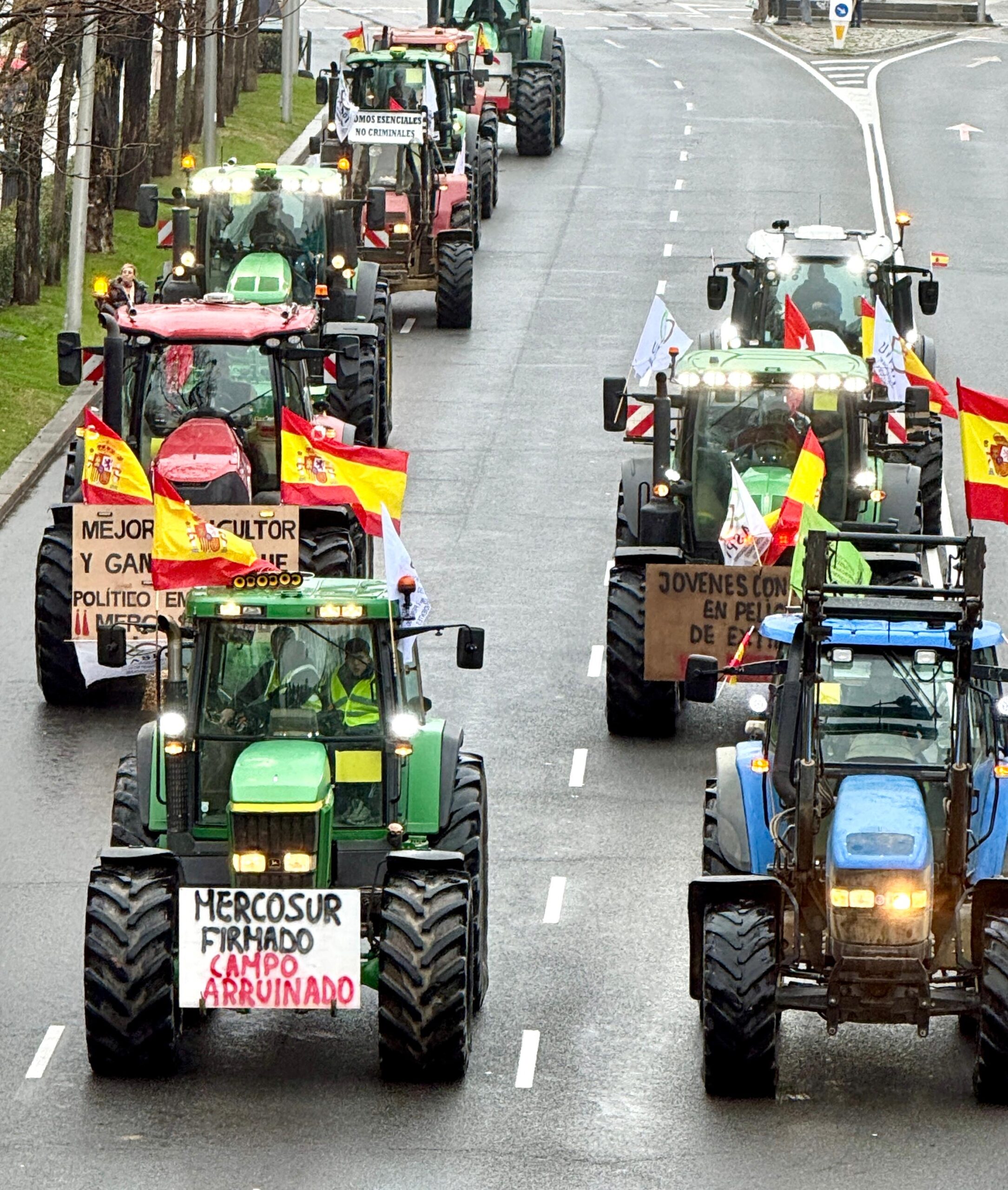 צילמה: ליזה פייטל