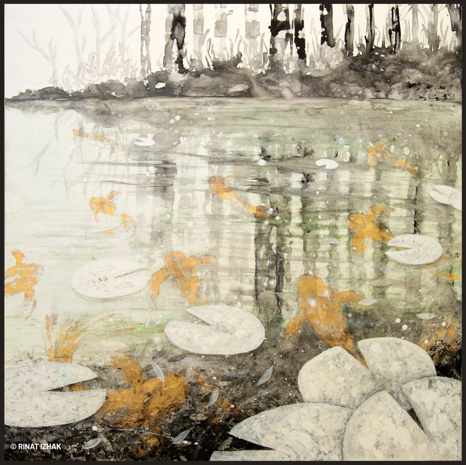 WhatsApp Image 2026-02-25 at 22.22.07 (1)