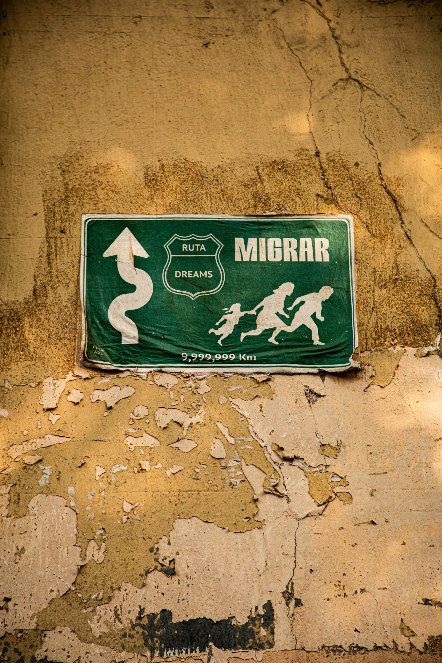 (צילום: Pexels)