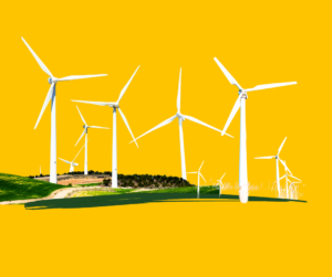 עיצוב: תמר בנין